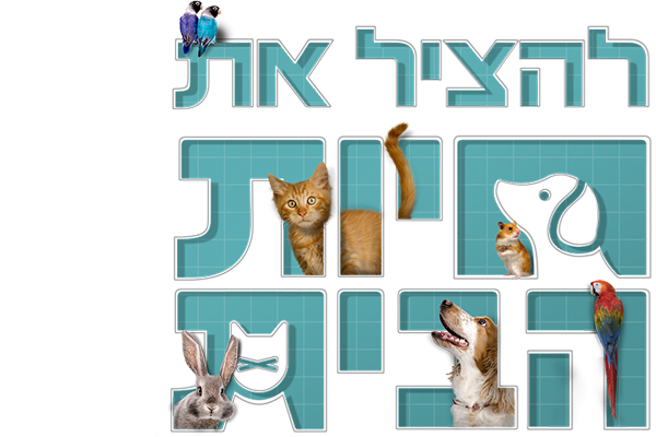 להציל את חיות הבית